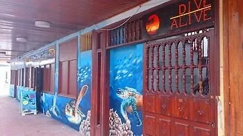 Hotel Dive Ocean Dreams Tenerife Arona (Tenerife)